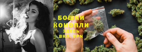 гидра Горно-Алтайск
