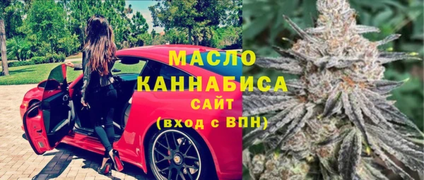 гидра Горно-Алтайск