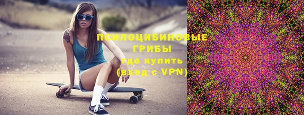 гидра Горно-Алтайск