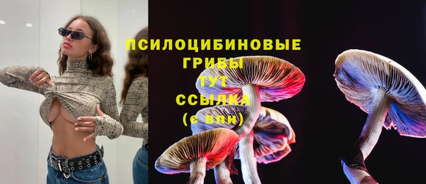 гидра Горно-Алтайск