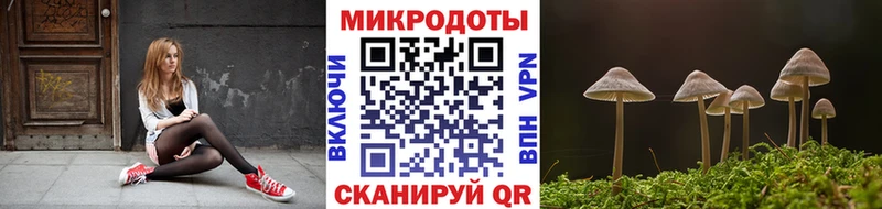 Купить закладки  Кандалакша  Псилоцибиновые грибы мицелий 